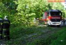 Oö: Beseitigung eines umgestürzten Baumes in Attnang-Puchheim