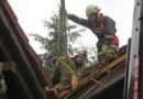 Oö: Baum in Kirchberg-Thening auf Wohnhaus gestürzt