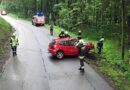 Stmk: Frau prallte mit ihrem Fahrzeug gegen einen Baum