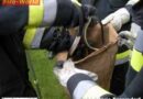 Nö: Schlange verirrte sich abermals in einen Garten