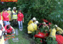 Oö: Feuerwehr Pfandl und RK Bad Ischl übten den Ernstfall