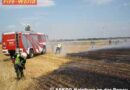 Nö: Abgeerntetes Feld in Brand geraten