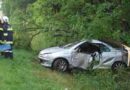 Nö: Pkw bei Schwarzau/Steinfeld gegen Baum geprallt