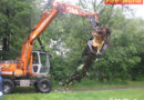 Nö: Lokomotive gegen Baum geprallt -> Wopfing