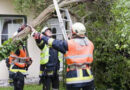 Nö: Einsatzreicher Tag für die Freiwillige Feuerwehr Baden-Stadt