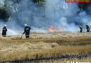 Oö: Feldbrand in Marchtrenk