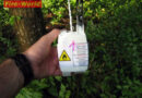 Stmk: Wetterballon im Baum verfangen