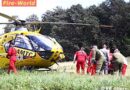 Nö: Person unter Baum – Aufräumarbeiten mit fatalen Folgen