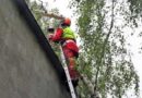 Nö: Baum stürzte auf Nachbargebäude