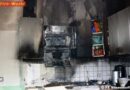 Nö: Katze bei Küchenbrand gerettet