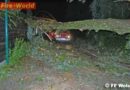 Oö: 80 Bäume in Wels nach Unwetter entfernt
