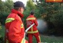 Nö: Flurbrand in Wiener Neudorf rasch gelöscht