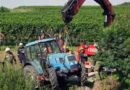 Nö: Stein bewahrte Traktor vor Sturz über die Böschung