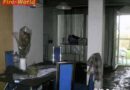Stmk: Hund bei Wohnungsbrand gerettet