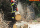 Nö: Baum über der Straße -> Payerbach