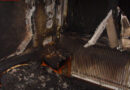 Nö: Wohnungsbrand in Wiener Neustadt -> Hund tot geborgen