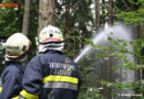 Nö: KHD-Übung mit 222 Kräften im Bezirk Krems