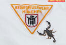 D: Stacheliger Fund in München -> Skorpion im Keller