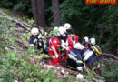 Ktn: Forstarbeiter unter Baum eingeklemmt -> Waidisch