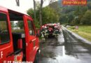 Oö: Herbstübung – Waldbrand in Seewalchen