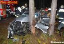 Nö: Pkw gegen Baum – Lenker schwer Verletzt!