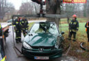 Nö: Glimpflicher Anprall mit Pkw an Baum in Gloggnitz