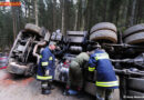 Oö: Holztransporter im Wald in Gutau umgestürzt
