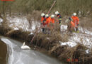 D: Festgefrorener Schwan durch Feuerwehr gerettet