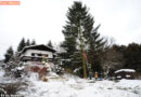 Oö: Baum drohte bei Fällarbeiten auf Haus zu stürzen