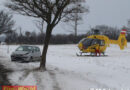 Nö: Mit Auto in Schwechat Baum touchiert