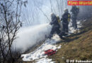Stmk: Böschungsbrand forderte Feuerwehren in Hetzendorf