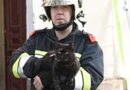 Nö: Eine schwerverletzte Person bei Küchenbrand in Krems