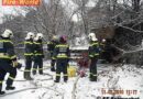 Nö: Kellerbrand am alten Brauereigelände