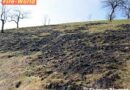 Stmk: Wiesenbrand durch unbeaufsichtigtes Abbrennen von Grünschnitt