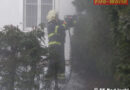 Oö: Heckenbrand in Bad Ischl von Feuerwehrmann eingedämmt
