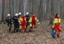 Nö: Schwerer Forstunfall am Riederberg