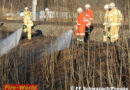 Sbg: Böschungsbrand an der ÖBB-Strecke in Schwarzach