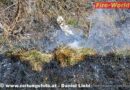 T: Flächenbrand in Zirl rasch gelöscht