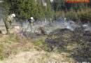 Nö: Waldbrand Allwangwald (TÜPL Allentsteig)