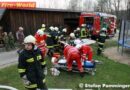 Oö: Brandübung mit verletzten Pferden