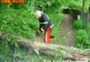 Stmk: Sturm beschert der Feuerwehr fünf Einsätze