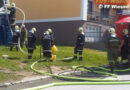 Bgld: Containerbrand in Wiesen