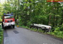 Nö: Kleintransporter auf abwegen-> Bäume verhindern Absturz