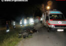 Nö: Mit Pkw gegen Baum geprallt -> Lenker eingeklemmt