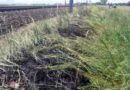 Oö: 20m² Wiesenfläche an einem Bahndamm in Brand geraten