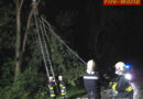 Nö: Teil eines Baumes ragte auf Fahrbahn