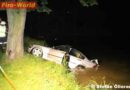 Nö: Pkw rutschte beim wenden in einen Teich