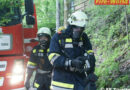 Nö: Übung -> Brand beim Schützenhaus in Türnitz