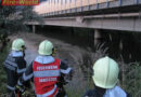 Stmk: Feuerwehr rettet Mann aus der Mur