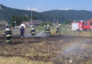 Ktn: Ackerbrand in Unterferlach